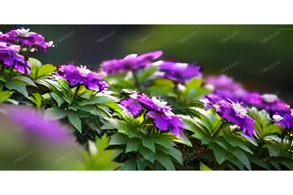 武汉汇豪桑拿：养生休闲新体验，尽享舒适时光